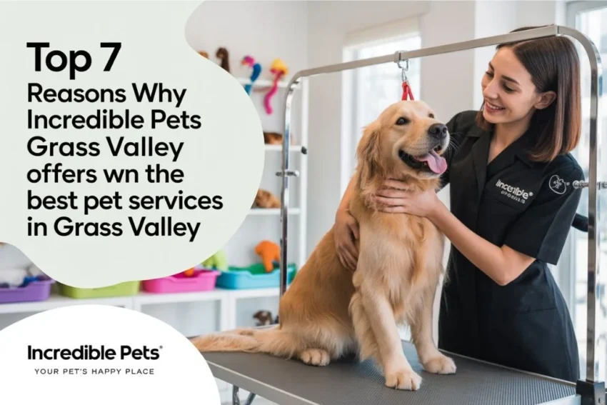 Pets Grass Valley
